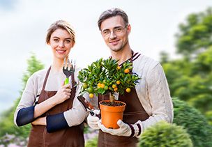 Проект «под ключ» где можно заказать по низкой цене  в Махачкале