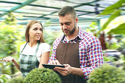 Дендроплан - верное планирование территории и решения этой задачи на уровне  в Махачкале