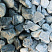 Kamenclub.ru: Щебень галтованный зеленый (змеевик) фр. 50-100 мм.  купить в Махачкале галтовка мраморная зеленый, салатовый мрамор 12 500 руб/т   фото КАМЕНЬ КЛУБ
