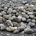 Kamenclub.ru: Речной валун (Ассорти) фр.100-300 мм.  купить в Махачкале галечник серый, темно-серый, светло-серый речная галька крупных размеров 4200 руб/т   фото КАМЕНЬ КЛУБ