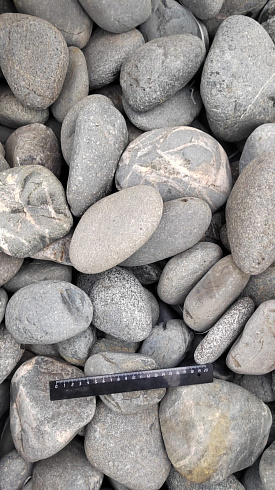 Kamenclub.ru: Галька речная окат (темно-серая) фр. 70-150 мм. купить  в Махачкале галька речная темно-серая, синяя, серая речная галька округлая  8000 руб/т   фото КАМЕНЬ КЛУБ
