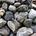 Kamenclub.ru: Речной валун Кабанчик фр.300-500 мм.  купить в Махачкале крупный природный камень галька серый, темно-серый речной валун галечник масштабный 7000 руб/т   фото КАМЕНЬ КЛУБ