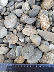 Kamenclub.ru: Галька речная окат (пестрая) фр. 20-40 мм. купить  в Махачкале галька речная пестрая, серая, серые оттенки галька речная окатанная округлая 5000 руб/т   фото КАМЕНЬ КЛУБ