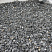 Kamenclub.ru: Щебень крошка черный (мрамор) фр. 10-20 мм.  купить в Махачкале мрамор черный с белыми прожилками, черный, белый каменная ландшафтная декоративная крошка щебня 11000 руб/т   фото КАМЕНЬ КЛУБ