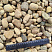 Kamenclub.ru: Галька речная окат рыжая фр. 20-40 мм. купить  в Махачкале галька речная окатанная рыжая желтая серая округлая речная галька 5000 руб/т   фото КАМЕНЬ КЛУБ