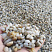 фото Галька крымская жемчужная фр. 5-10 мм. в интернет-портале КАМЕНЬ КЛУБ