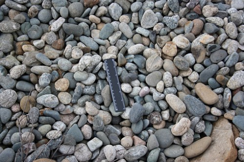 Kamenclub.ru: Галька речная окат (пестрая) фр. 20-40 мм. купить  в Махачкале галька речная пестрая, серая, серые оттенки галька речная окатанная округлая 5000 руб/т   фото КАМЕНЬ КЛУБ