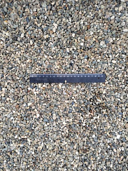 Kamenclub.ru: Галька речная окат (серая) фр.5-10 мм купить  в Махачкале галька речная серая, серый, темно-серый, светло-серый, коричневый речная окатанная галька декоративная ландшатфная 5000 руб/т   фото КАМЕНЬ КЛУБ