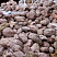 Kamenclub.ru: Розовый валунчик фр.100-300 мм.  купить в Махачкале крупный природный камень розовый, серый молочный красный речной галечник природный 7850 руб/т   фото КАМЕНЬ КЛУБ