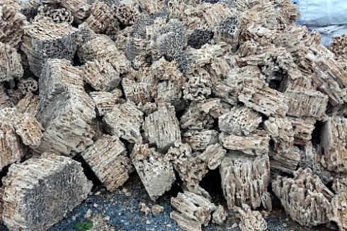 Kamenclub.ru: Крымский природный меотис фр. 100-500 мм.  купить в Махачкале меотис бежевый рыжий молочный желтый ракушечник 4 500 руб/т   фото КАМЕНЬ КЛУБ