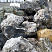 Kamenclub.ru: Черный гранит - кварцит фр. 500-1000 мм.  купить в Махачкале гранит кварцит черный серый белый скальный колотый валун 9750 руб/т   фото КАМЕНЬ КЛУБ
