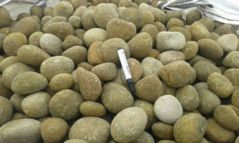 Kamenclub.ru: Песчаник ядра, фр. 100-300 мм  купить в Махачкале песчаник бежевый серый рыжий речная галька 5 000 руб/т   фото КАМЕНЬ КЛУБ