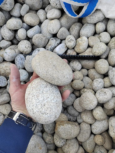 Kamenclub.ru: Галька речная окат (серо-белая) фр. 70-120 мм купить  в Махачкале галька галечник бело-серая, серо-белая, серая, белая речная природная галька  8000 руб/т   фото КАМЕНЬ КЛУБ