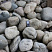 Kamenclub.ru: Темно-серый валунчик фр.100-300 мм.  купить в Махачкале крупный природный камень серый, темно-серый, светло-серый речная галька большого размера окатанная 4500 руб/т   фото КАМЕНЬ КЛУБ