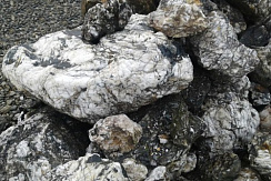 Kamenclub.ru: Черный гранит - кварцит фр. 500-1000 мм.  купить в Махачкале гранит кварцит черный серый белый скальный колотый валун 9750 руб/т   фото КАМЕНЬ КЛУБ