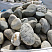 Kamenclub.ru: Речной валун (Ассорти) фр.100-300 мм.  купить в Махачкале галечник серый, темно-серый, светло-серый речная галька крупных размеров 4200 руб/т   фото КАМЕНЬ КЛУБ