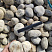 Kamenclub.ru: Галька речная окат (серо-белая) фр. 70-120 мм купить  в Махачкале галька галечник бело-серая, серо-белая, серая, белая речная природная галька  8000 руб/т   фото КАМЕНЬ КЛУБ