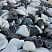 Kamenclub.ru: Мраморная крошка (щебень галтованный микс:: белый-черный) фр.20-40 мм  купить в Махачкале мрамор белый, черный мраморный галтованный щебень 15500 руб/т   фото КАМЕНЬ КЛУБ