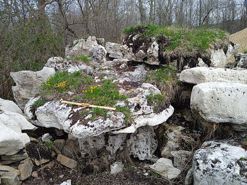 Kamenclub.ru: Выветренный известняк со мхом фр. 100-500 мм.  купить в Махачкале известняк серый белый зеленый валун известняковый крупный 10000 руб/т   фото КАМЕНЬ КЛУБ