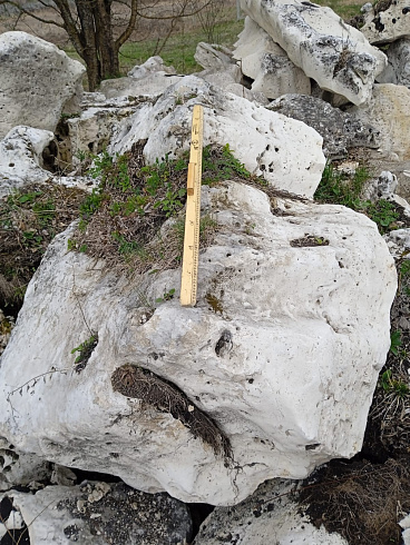 Kamenclub.ru: Выветренный известняк со мхом фр. 100-500 мм.  купить в Махачкале известняк серый белый зеленый валун известняковый крупный 10000 руб/т   фото КАМЕНЬ КЛУБ