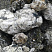 Kamenclub.ru: Черный гранит - кварцит фр. 100-500 мм.  купить в Махачкале мрамор гранит черный с белыми прожилками, серый, белый валун скальный колотый 7000 руб/т   фото КАМЕНЬ КЛУБ