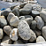 Kamenclub.ru: Речной валун (Ассорти) фр.100-300 мм.  купить в Махачкале галечник серый, темно-серый, светло-серый речная галька крупных размеров 4200 руб/т   фото КАМЕНЬ КЛУБ