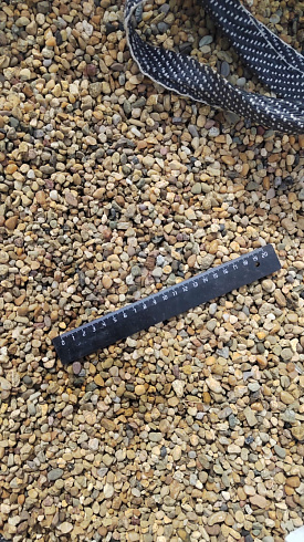 Kamenclub.ru: Галька окат (серо-желтая) фр.5-10 мм. купить  в Махачкале галька речная рыжий, желтый, рыжий, серо-желтый речная окатанная галька декоративная 5000 руб/т   фото КАМЕНЬ КЛУБ