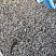 Kamenclub.ru: Галька речная окат (серая) фр.3-5 мм купить  в Махачкале галька речная серая бежевый темно-серый окатанный речной камень округлый 9500 руб/т   фото КАМЕНЬ КЛУБ