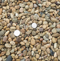 Kamenclub.ru: Галька окат (серо-желтая) фр.10-20 мм. купить  в Махачкале галька серо-желтая, рыжая, серый речная окатанная округлая галька 5000 руб/т   фото КАМЕНЬ КЛУБ