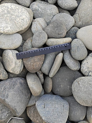 Kamenclub.ru: Галька речная плоская (ассорти) фр. 70-150 мм. купить в Махачкале галька галечник серый белый темно-серый синий светло-серый плоская природная галька  9000 руб/т   фото КАМЕНЬ КЛУБ