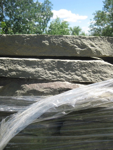 Пластушка серо-зеленая