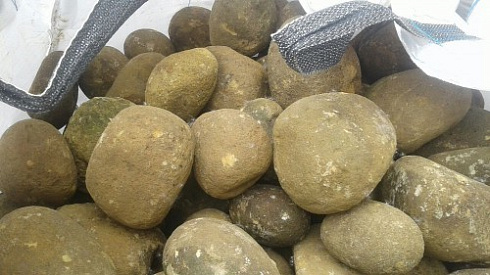 Kamenclub.ru: Песчаник ядра, фр. 100-300 мм  купить в Махачкале песчаник бежевый серый рыжий речная галька 5 000 руб/т   фото КАМЕНЬ КЛУБ