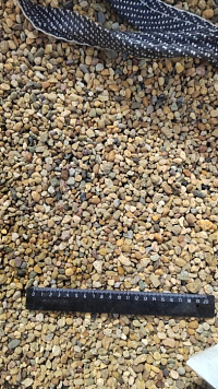 Kamenclub.ru: Галька окат (серо-желтая) фр.5-10 мм. купить  в Махачкале галька речная рыжий, желтый, рыжий, серо-желтый речная окатанная галька декоративная 5000 руб/т   фото КАМЕНЬ КЛУБ