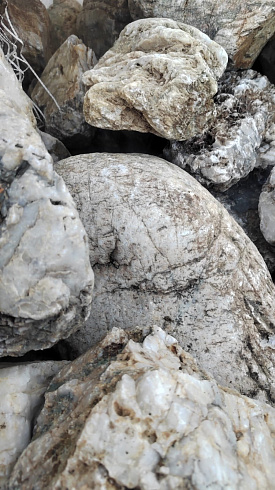 Kamenclub.ru: Кварцевый валунчик фр.100-300 мм.  купить в Махачкале кварц белый, бежевый молочный рыжий крупный природный камень галечник 7850 руб/т   фото КАМЕНЬ КЛУБ