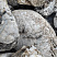 Kamenclub.ru: Кварцевый валунчик фр.100-300 мм.  купить в Махачкале кварц белый, бежевый молочный рыжий крупный природный камень галечник 7850 руб/т   фото КАМЕНЬ КЛУБ