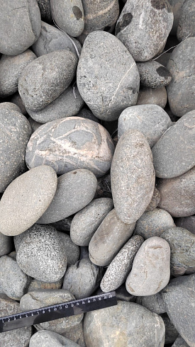 Kamenclub.ru: Галька речная окат (темно-серая) фр. 70-150 мм. купить  в Махачкале галька речная темно-серая, синяя, серая речная галька округлая  8000 руб/т   фото КАМЕНЬ КЛУБ
