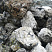 Kamenclub.ru: Черный гранит - кварцит фр. 500-1000 мм.  купить в Махачкале гранит кварцит черный серый белый скальный колотый валун 9750 руб/т   фото КАМЕНЬ КЛУБ