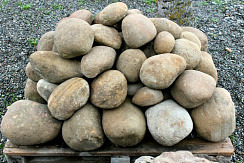 Kamenclub.ru: Песчаник ядра, фр. 100-300 мм  купить в Махачкале песчаник бежевый серый рыжий речная галька 5 000 руб/т   фото КАМЕНЬ КЛУБ