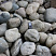 Kamenclub.ru: Речной валун (Ассорти) фр.100-300 мм.  купить в Махачкале галечник серый, темно-серый, светло-серый речная галька крупных размеров 4200 руб/т   фото КАМЕНЬ КЛУБ