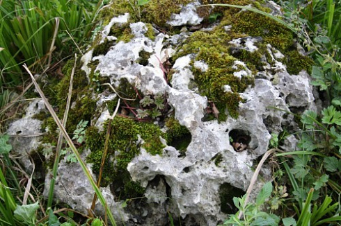 Kamenclub.ru: Выветренный известняк со мхом фр. 100-500 мм.  купить в Махачкале известняк серый белый зеленый валун известняковый крупный 10000 руб/т   фото КАМЕНЬ КЛУБ