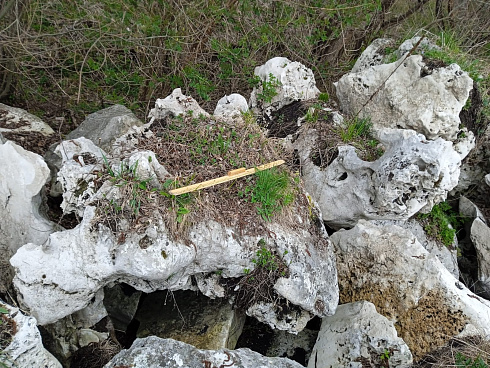 Kamenclub.ru: Выветренный известняк (степной) фр. 500-1500 мм.  купить в Махачкале    10000 руб/т   фото КАМЕНЬ КЛУБ