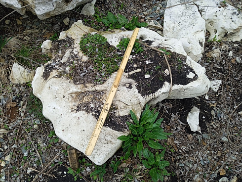 Kamenclub.ru: Выветренный известняк (степной) фр. 500-1500 мм.  купить в Махачкале    10000 руб/т   фото КАМЕНЬ КЛУБ