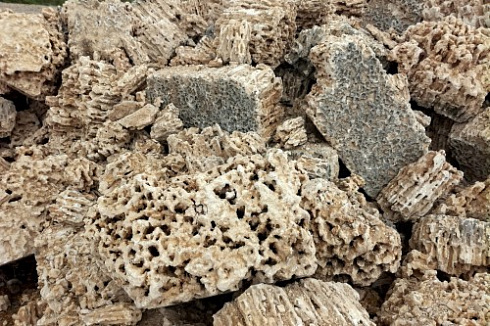 Kamenclub.ru: Крымский природный меотис фр. 100-500 мм.  купить в Махачкале меотис бежевый рыжий молочный желтый ракушечник 4 500 руб/т   фото КАМЕНЬ КЛУБ