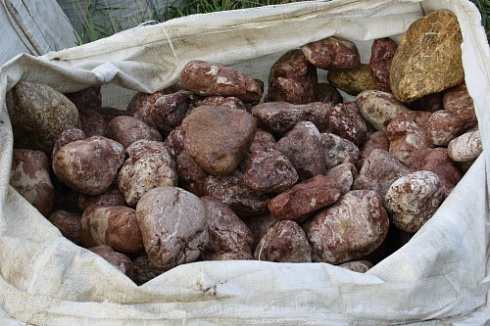 Kamenclub.ru: Розовый валунчик фр.100-300 мм.  купить в Махачкале крупный природный камень розовый, серый молочный красный речной галечник природный 7850 руб/т   фото КАМЕНЬ КЛУБ