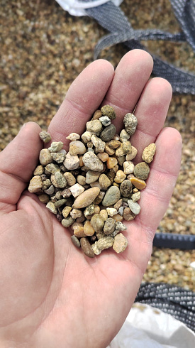 Kamenclub.ru: Галька окат (серо-желтая) фр.5-10 мм. купить  в Махачкале галька речная рыжий, желтый, рыжий, серо-желтый речная окатанная галька декоративная 5000 руб/т   фото КАМЕНЬ КЛУБ